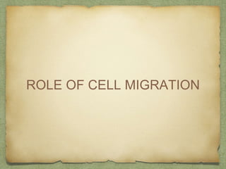 ROLE OF CELL MIGRATION
 
