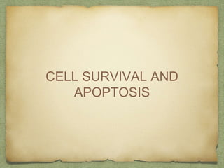 CELL SURVIVAL AND
APOPTOSIS
 