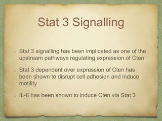 Stat 3 Signalling
Stat 3 signalling has been implicated as one of the
upstream pathways regulating expression of Cten
Stat 3 dependent over expression of Cten has
been shown to disrupt cell adhesion and induce
motility
IL-6 has been shown to induce Cten via Stat 3
 