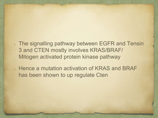 The signalling pathway between EGFR and Tensin
3 and CTEN mostly involves KRAS/BRAF/
Mitogen activated protein kinase pathway
Hence a mutation activation of KRAS and BRAF
has been shown to up regulate Cten
 