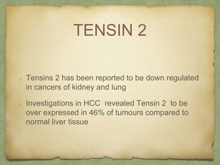 TENSIN 2
Tensins 2 has been reported to be down regulated
in cancers of kidney and lung
Investigations in HCC revealed Tensin 2 to be
over expressed in 46% of tumours compared to
normal liver tissue
 