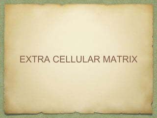 EXTRA CELLULAR MATRIX
 