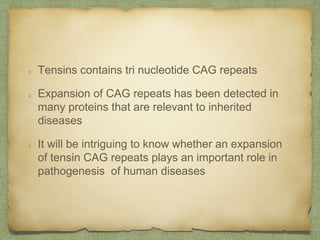 Tensins contains tri nucleotide CAG repeats
Expansion of CAG repeats has been detected in
many proteins that are relevant to inherited
diseases
It will be intriguing to know whether an expansion
of tensin CAG repeats plays an important role in
pathogenesis of human diseases
 