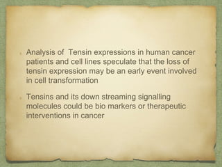 Analysis of Tensin expressions in human cancer
patients and cell lines speculate that the loss of
tensin expression may be an early event involved
in cell transformation
Tensins and its down streaming signalling
molecules could be bio markers or therapeutic
interventions in cancer
 