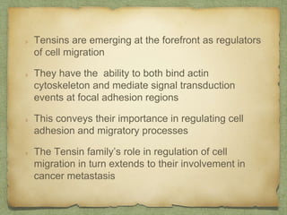 Tensins are emerging at the forefront as regulators
of cell migration
They have the ability to both bind actin
cytoskeleton and mediate signal transduction
events at focal adhesion regions
This conveys their importance in regulating cell
adhesion and migratory processes
The Tensin family’s role in regulation of cell
migration in turn extends to their involvement in
cancer metastasis
 