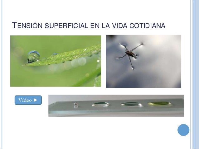 Tensión superficial