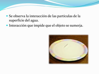  Se observa la interacción de las partículas de la
superficie del agua.
 Interacción que impide que el objeto se sumerja.
 