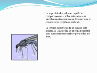 La superficie de cualquier líquido se
comporta como si sobre esta existe una
membrana a tensión. A este fenómeno se le
conoce como tensión superficial.
La tensión superficial de un líquido está
asociada a la cantidad de energía necesaria
para aumentar su superficie por unidad de
área.
 