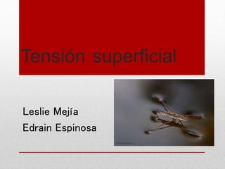 Tensión superficial
Leslie Mejía
Edrain Espinosa
 