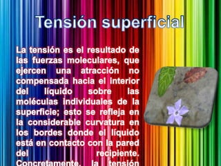 Tensión superficialLa tensión es el resultado de las fuerzas moleculares, que ejercen una atracción no compensada hacia el interior del líquido sobre las moléculas individuales de la superficie; esto se refleja en la considerable curvatura en los bordes donde el líquido está en contacto con la pared del recipiente. Concretamente, la tensión superficial es la fuerza por unidad de longitud de cualquier línea recta de la superficie líquida que las capas superficiales situadas en los lados opuestos de la línea ejercen una sobre otra.