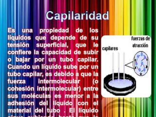 CapilaridadEs una propiedad de los líquidos que depende de su tensión superficial, que le confiere la capacidad de subir o bajar por un tubo capilar. Cuando un líquido sube por un tubo capilar, es debido a que la fuerza intermolecular (o cohesión intermolecular) entre sus moléculas es menor a la adhesión del líquido con el material del tubo . El líquido sigue subiendo hasta que la tensión superficial es equilibrada por el peso del líquido que llena el tubo. Éste es el caso del agua, y ésta propiedad es la que regula parcialmente su ascenso dentro de las plantas, sin gastar energía para vencer la gravedad.