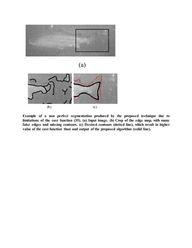 IEEE 2014 MATLAB IMAGE PROCESSING PROJECTS Tension in active shapes | DOCX