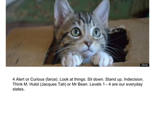4 Alert or Curious (farce). Look at things. Sit down. Stand up. Indecision. 
Think M. Hulot (Jacques Tati) or Mr Bean. Levels 1 - 4 are our everyday 
states. 
 