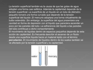 La tensión superficial también es la causa de que las gotas de agua adopten una forma casi esférica .Además la capilaridad depende de la tensión superficial .La superficie de un líquido en un tubo de diámetro pequeño tomará una forma curvada que depende de la tensión superficial del líquido .El mercurio adoptara una forma virtualmente de bulbo extendido .Sin embargo ,la superficie del agua presentara una cavidad en forma de depresión con el líquido que pareciera ascender un poco por las paredes del tubo .La adherencia del líquido a las paredes del tubo contribuye a dicho comportamiento El movimiento de liquidas dentro de espacios pequeños depende de esta acción de capilaridad .Es frecuente describir el ascenso de un fluido desde una superficie líquida hacia un material tejido con el término  percolación  .El movimiento de líquidos dentro de los suelos también se ve afectado por la tensión superficial y la capilaridad. 