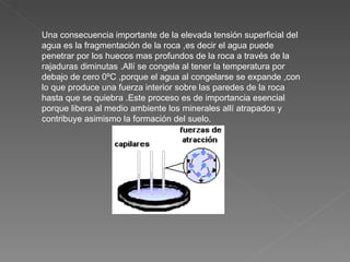 Una consecuencia importante de la elevada tensión superficial del agua es la fragmentación de la roca ,es decir el agua puede penetrar por los huecos mas profundos de la roca a través de la rajaduras diminutas .Allí se congela al tener la temperatura por debajo de cero 0ºC ,porque el agua al congelarse se expande ,con lo que produce una fuerza interior sobre las paredes de la roca hasta que se quiebra .Este proceso es de importancia esencial porque libera al medio ambiente los minerales allí atrapados y contribuye asimismo la formación del suelo. 