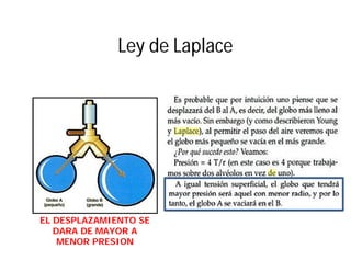Ley de Laplace
EL DESPLAZAMIENTO SE
DARA DE MAYOR A
MENOR PRESION
 