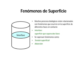 Fenómenos de Superficie
• Muchos procesos biológicos están relacionados
con fenómenos que ocurren en la superficie de
diferentes fases en contacto
• Interfase:
superficie que separa dos fases
• Se expresan fenómenos como:
• Tensión superficial
• Adsorción
Interfase
 