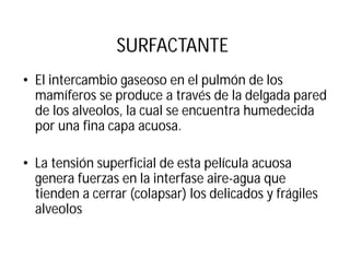 SURFACTANTE
• El intercambio gaseoso en el pulmón de los
mamíferos se produce a través de la delgada pared
de los alveolos, la cual se encuentra humedecida
por una fina capa acuosa.
• La tensión superficial de esta película acuosa
genera fuerzas en la interfase aire-agua que
tienden a cerrar (colapsar) los delicados y frágiles
alveolos
 