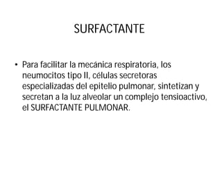 SURFACTANTE
• Para facilitar la mecánica respiratoria, los
neumocitos tipo II, células secretoras
especializadas del epitelio pulmonar, sintetizan y
secretan a la luz alveolar un complejo tensioactivo,
el SURFACTANTE PULMONAR.
 