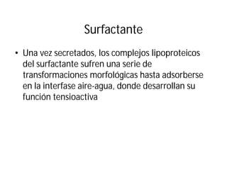 Surfactante
• Una vez secretados, los complejos lipoproteicos
del surfactante sufren una serie de
transformaciones morfológicas hasta adsorberse
en la interfase aire-agua, donde desarrollan su
función tensioactiva
 