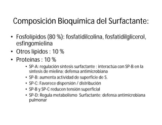 Composición Bioquímica del Surfactante:
• Fosfolípidos (80 %): fosfatidilcolina, fosfatidilglicerol,
esfingomielina
• Otros lípidos : 10 %
• Proteínas : 10 %
• SP-A: regulación síntesis surfactante ; interactúa con SP-B en la
síntesis de mielina; defensa antimicrobiana
• SP-B: aumenta actividad de superficie de S.
• SP-C: Favorece dispersión / distribución
• SP-B y SP-C reducen tensión superficial
• SP-D: Regula metabolismo Surfactante; defensa antimicrobiana
pulmonar
 