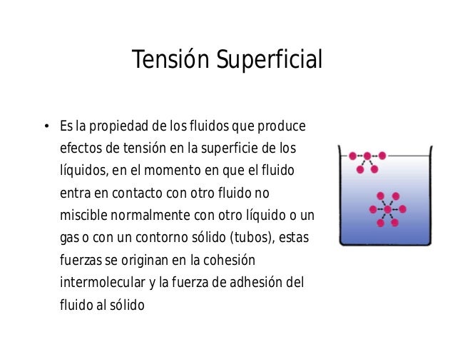 Superficial que es