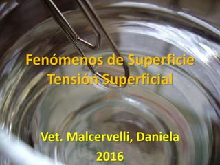 Fenómenos de Superficie
Tensión Superficial
Vet. Malcervelli, Daniela
2016
 