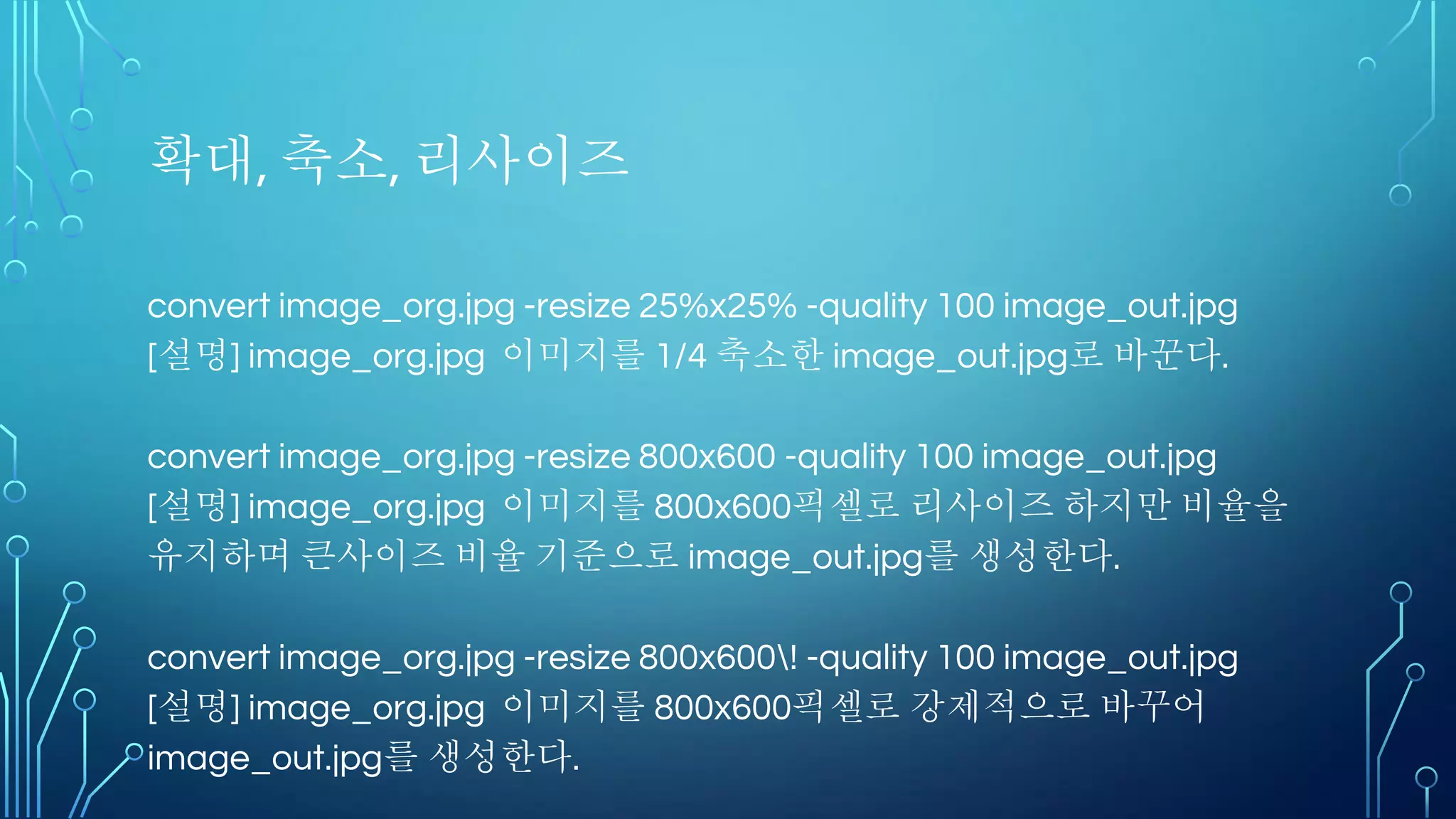 TENSORBOARD의 활용 (심화)
 