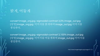 MNIST 필기체 인식 실습 및
과제 수행
 