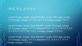 TENSORBOARD의 활용 (심화)
 