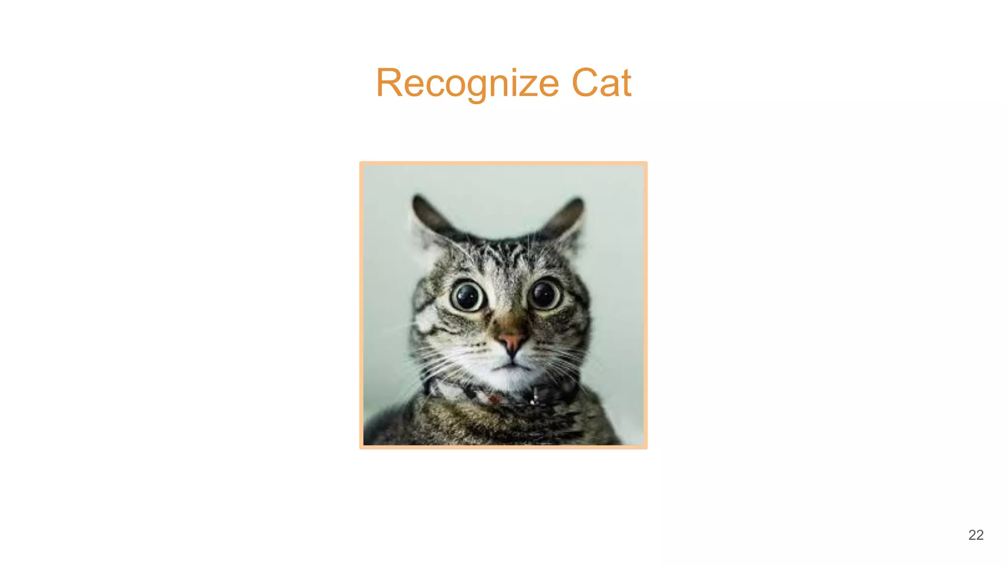 Recognize Cat
22
 