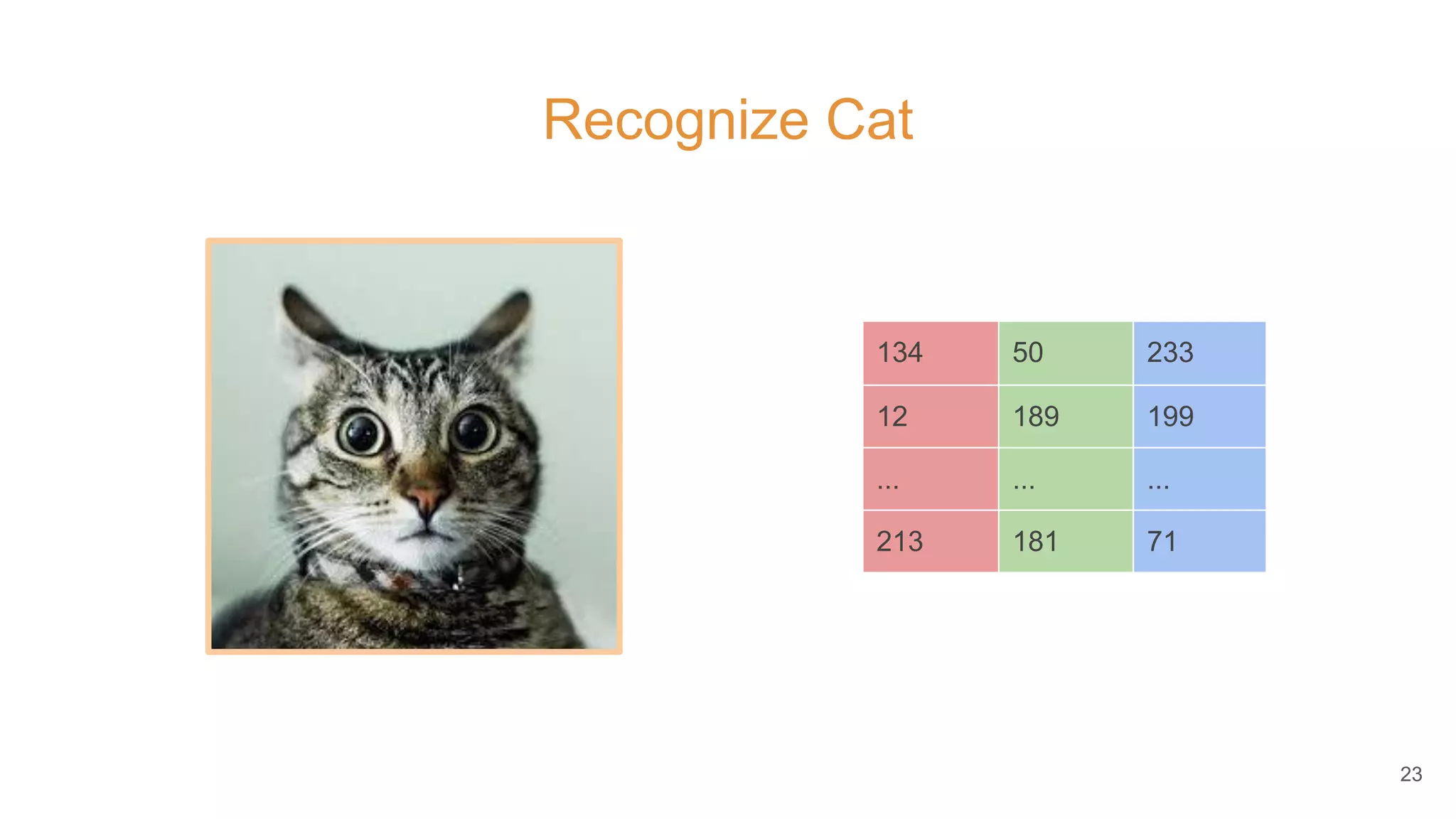 Recognize Cat
23
134 50 233
12 189 199
... ... ...
213 181 71
 