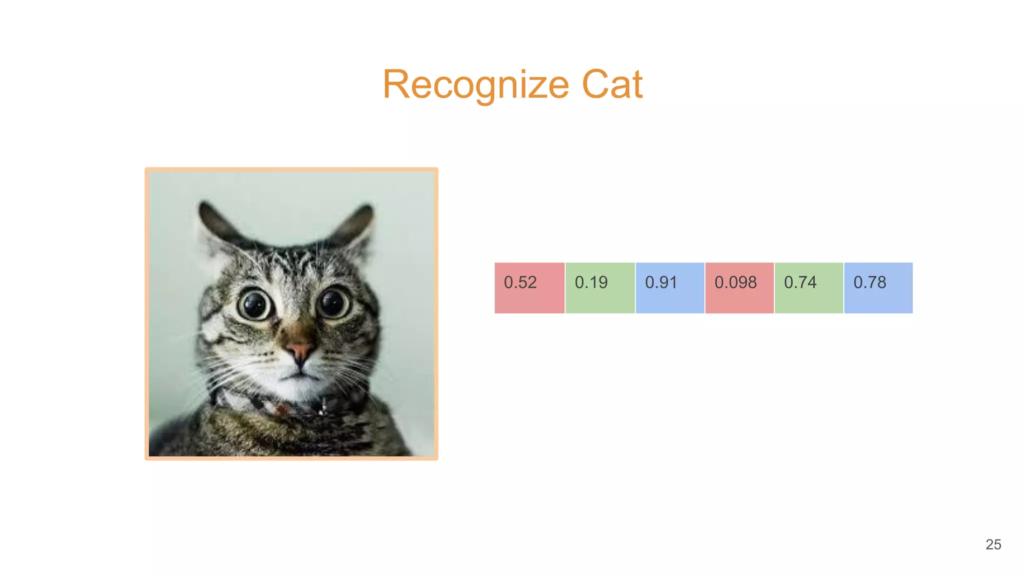 Recognize Cat
25
0.52 0.19 0.91 0.098 0.74 0.78 ….
 