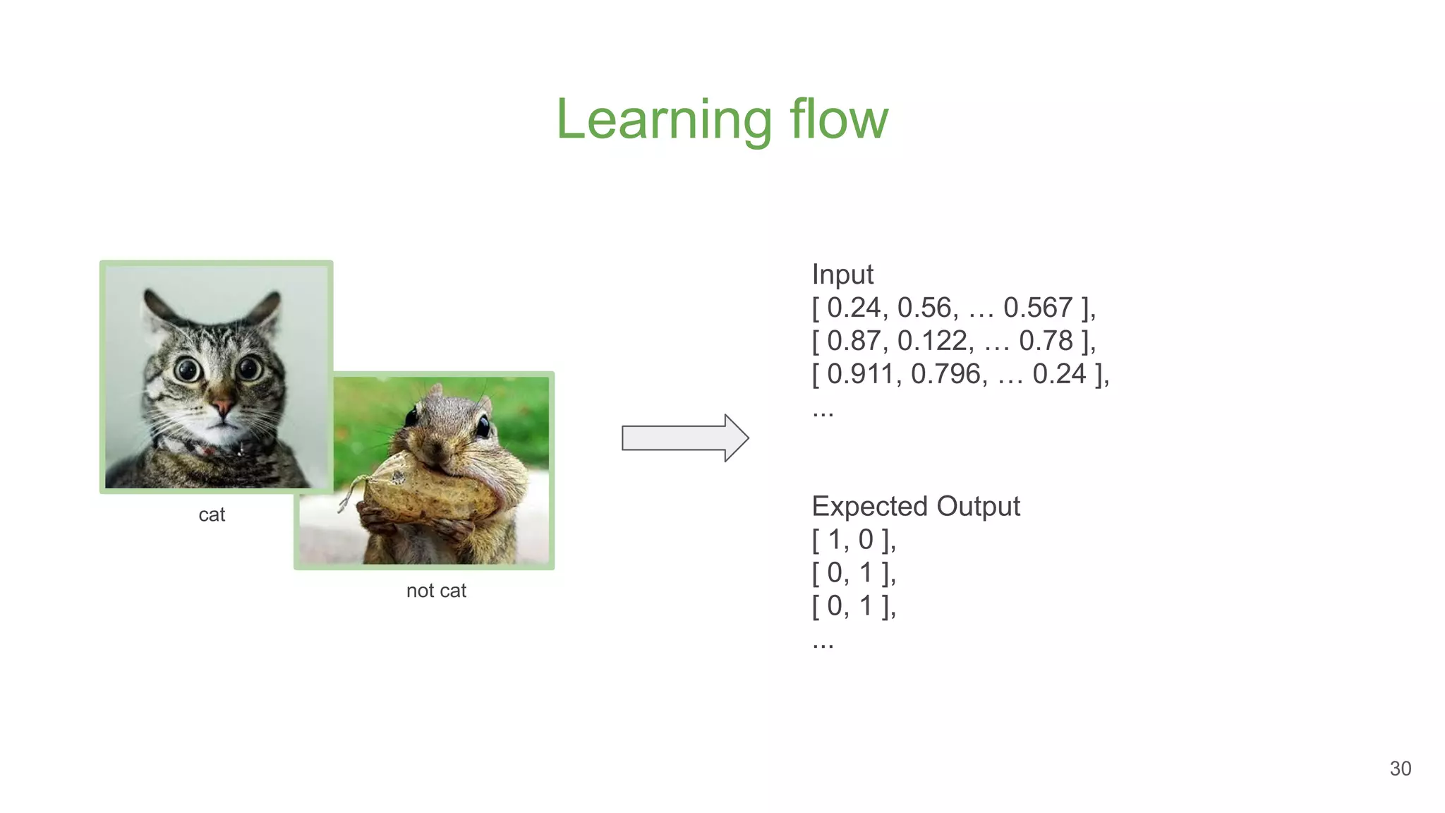 Learning flow
not cat
cat
Input
[ 0.24, 0.56, … 0.567 ],
[ 0.87, 0.122, … 0.78 ],
[ 0.911, 0.796, … 0.24 ],
...
Expected Output
[ 1, 0 ],
[ 0, 1 ],
[ 0, 1 ],
...
30
 