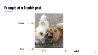 Example of a Tumblr post
7
 