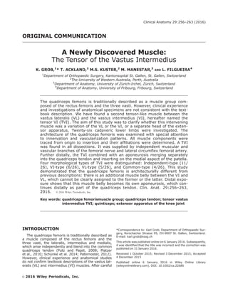 ORIGINAL COMMUNICATION
A Newly Discovered Muscle:
The Tensor of the Vastus Intermedius
K. GROB,1
* T. ACKLAND,2
M.S. KUSTER,2
M. MANESTAR,3
AND L. FILGUEIRA4
1
Department of Orthopaedic Surgery, Kantonsspital St. Gallen, St. Gallen, Switzerland
2
The University of Western Australia, Perth, Australia
3
Department of Anatomy, University of Z€urich-Irchel, Z€urich, Switzerland
4
Department of Anatomy, University of Fribourg, Fribourg, Switzerland
The quadriceps femoris is traditionally described as a muscle group com-
posed of the rectus femoris and the three vasti. However, clinical experience
and investigations of anatomical specimens are not consistent with the text-
book description. We have found a second tensor-like muscle between the
vastus lateralis (VL) and the vastus intermedius (VI), hereafter named the
tensor VI (TVI). The aim of this study was to clarify whether this intervening
muscle was a variation of the VL or the VI, or a separate head of the exten-
sor apparatus. Twenty-six cadaveric lower limbs were investigated. The
architecture of the quadriceps femoris was examined with special attention
to innervation and vascularization patterns. All muscle components were
traced from origin to insertion and their afﬁliations were determined. A TVI
was found in all dissections. It was supplied by independent muscular and
vascular branches of the femoral nerve and lateral circumﬂex femoral artery.
Further distally, the TVI combined with an aponeurosis merging separately
into the quadriceps tendon and inserting on the medial aspect of the patella.
Four morphological types of TVI were distinguished: Independent-type (11/
26), VI-type (6/26), VL-type (5/26), and Common-type (4/26). This study
demonstrated that the quadriceps femoris is architecturally different from
previous descriptions: there is an additional muscle belly between the VI and
VL, which cannot be clearly assigned to the former or the latter. Distal expo-
sure shows that this muscle belly becomes its own aponeurosis, which con-
tinues distally as part of the quadriceps tendon. Clin. Anat. 29:256–263,
2016. VC 2016 Wiley Periodicals, Inc.
Key words: quadriceps femorismuscle group; quadriceps tendon; tensor vastus
intermedius TVI; quinticeps; extensor apparatus of the knee joint
INTRODUCTION
The quadriceps femoris is traditionally described as
a muscle composed of the rectus femoris and the
three vasti, the lateralis, intermedius and medialis,
which arise independently and blend into the common
quadriceps tendon (Putz and Papst, 2008; Platzer
et al., 2010; Sch€unke et al. 2014; Paternoster, 2012).
However, clinical experience and anatomical studies
do not conﬁrm textbook descriptions of the vastus lat-
eralis (VL) and intermedius (VI) muscles. After careful
*Correspondence to: Karl Grob, Department of Orthopaedic Sur-
gery, Rorschacher Strasse 95, CH-9007 St. Gallen, Switzerland.
E-mail: karl.grob@kssg.ch
This article was published online on 6 January 2016. Subsequently,
it was identiﬁed that the title was incorrect and the correction was
published on 31 January 2016.
Received 1 October 2015; Revised 3 December 2015; Accepted
4 December 2015
Published online 6 January 2016 in Wiley Online Library
(wileyonlinelibrary.com). DOI: 10.1002/ca.22680
VVC 2016 Wiley Periodicals, Inc.
Clinical Anatomy 29:256–263 (2016)
 