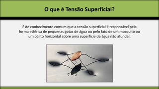 O que é Tensão Superficial?
É de conhecimento comum que a tensão superficial é responsável pela
forma esférica de pequenas gotas de água ou pelo fato de um mosquito ou
um palito horizontal sobre uma superfície de água não afundar.

 