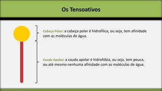 Os Tensoativos

Cabeça Polar: a cabeça polar é hidrofílica, ou seja, tem afinidade

com as moléculas de água.

Cauda Apolar: a cauda apolar é hidrofóbia, ou seja, tem pouca,

ou até mesmo nenhuma afinidade com as moléculas de água.

 