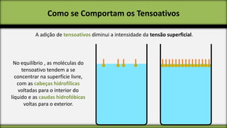 Como se Comportam os Tensoativos
A adição de tensoativos diminui a intensidade da tensão superficial.

No equilíbrio , as moléculas do
tensoativo tendem a se
concentrar na superfície livre,
com as cabeças hidrofílicas
voltadas para o interior do
líquido e as caudas hidrofóbicas
voltas para o exterior.

 