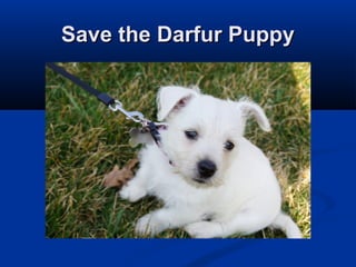 Save the Darfur PuppySave the Darfur Puppy
 
