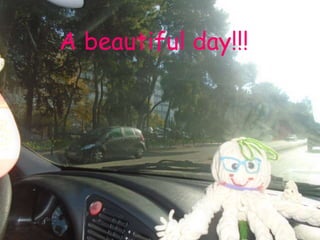 A beautiful day!!!
 