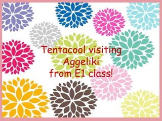 Tentacool visiting
Aggeliki
from E1 class!
 