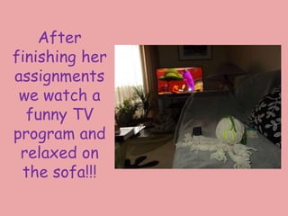 After
finishing her
assignments
we watch a
funny TV
program and
relaxed on
the sofa!!!
 