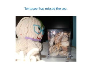 Tentacool has missed the sea.
 