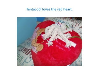 Tentacool loves the red heart.
 