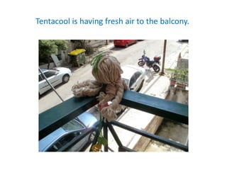 Tentacool is having fresh air to the balcony. ​
 