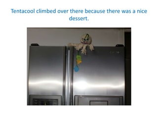 Tentacool climbed over there because there was a nice
dessert.
 