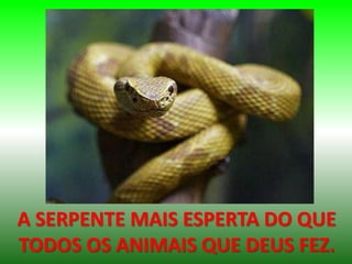 A SERPENTE MAIS ESPERTA DO QUE
TODOS OS ANIMAIS QUE DEUS FEZ.
 