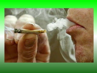 EBD Fé com Libras - Tentação do jardim