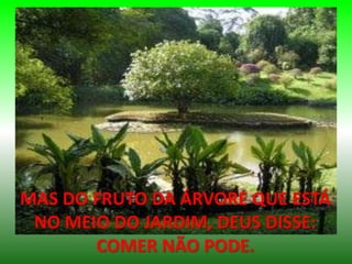 MAS DO FRUTO DA ÁRVORE QUE ESTÁ
NO MEIO DO JARDIM, DEUS DISSE:
COMER NÃO PODE.
 